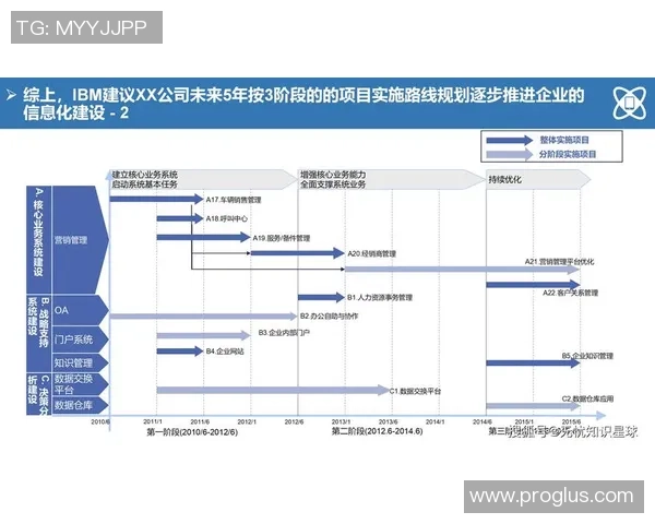 南京羽毛球队的转型之路：深度解析与未来展望
