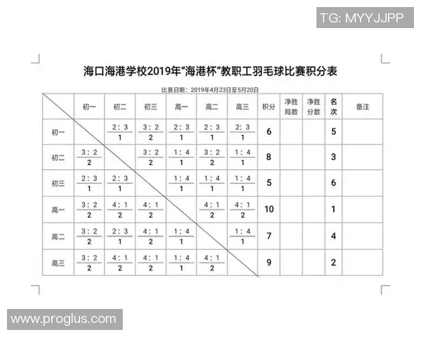 南京羽毛球队实力分析：探索其在全国羽毛球界的竞争力与发展潜力